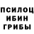 Галлюциногенные грибы мицелий BelissimoMoreandMore