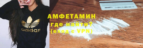 индика Бородино
