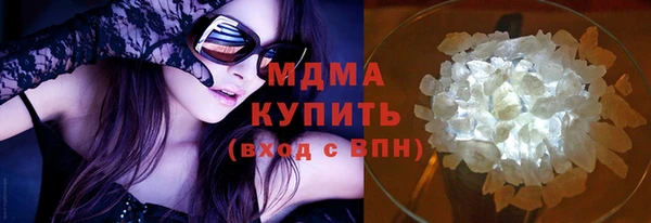 индика Бородино