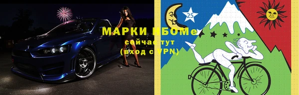 индика Бородино
