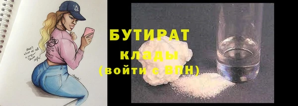 индика Бородино