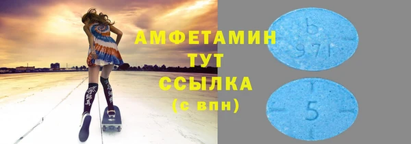 индика Бородино