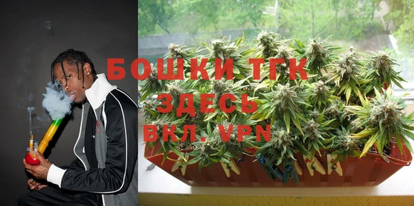 прущий лед Тихвин