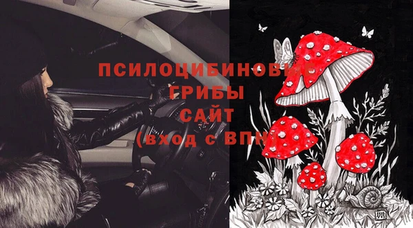 MDMA Premium VHQ Бронницы