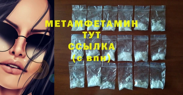 индика Бородино