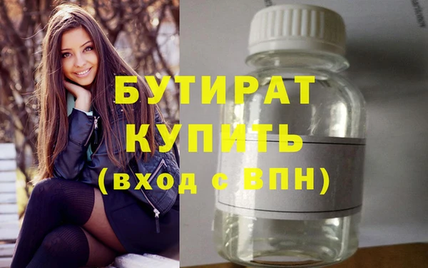 индика Бородино