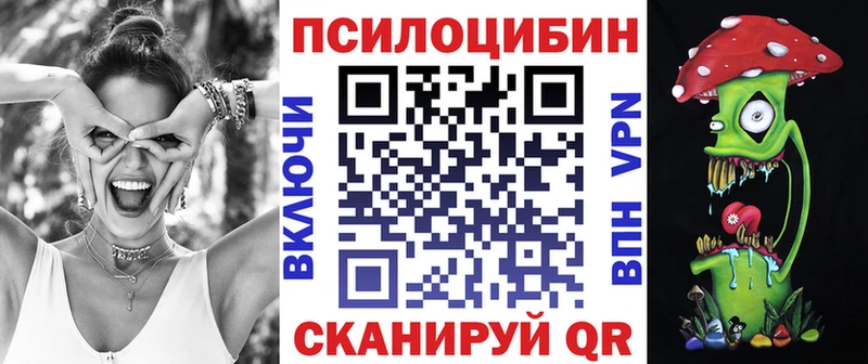 цены наркотик  Кировград  Галлюциногенные грибы Cubensis 