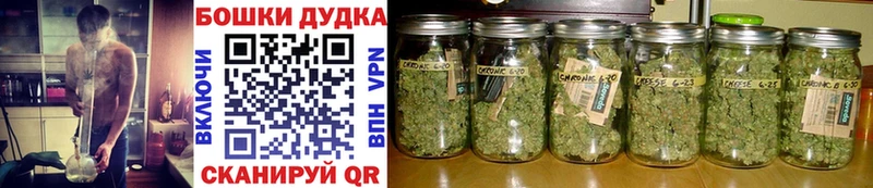 KRAKEN маркетплейс  Кировград  Марихуана сатива 